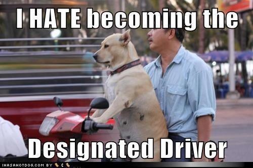 DDD = Designated Dog Driver! 