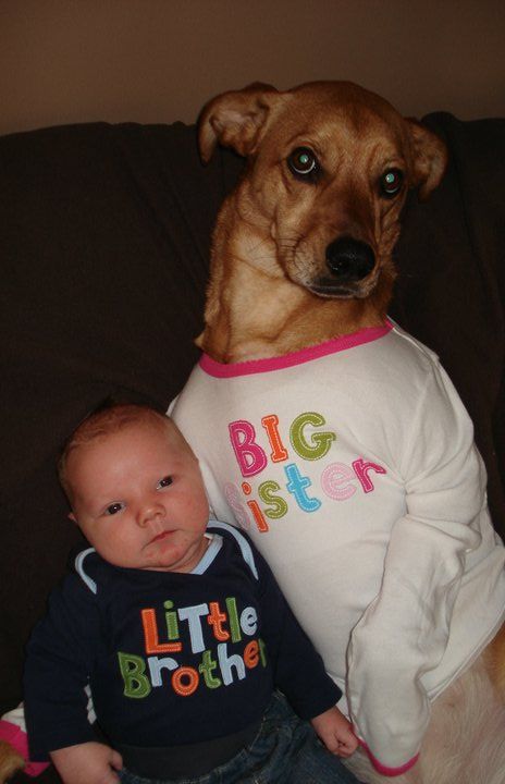 I'm not a dog! I'm his big sister! 