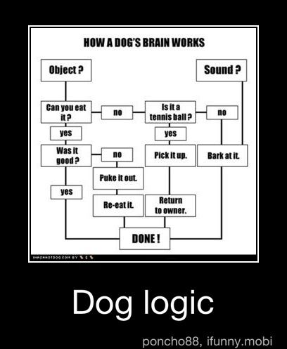 If it's an object or a sound, this is the process of Dog logic. 
