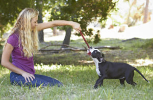 Make sure your dog follows the rule for play. Using a long tug can help keep your hands out of reach.