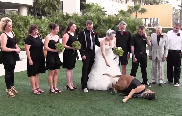 When They Put Their Dog in the Wedding, They Probably Didn't Expect Him To Do This!