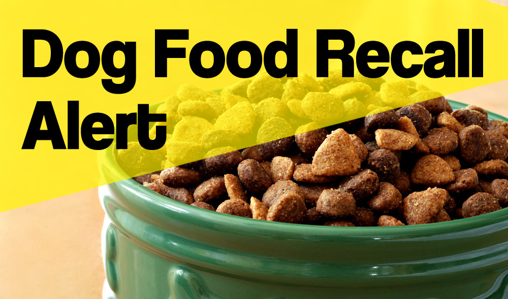 BREAKING: Major Dog Food Brand Issues Recall Due to Small Metal Fragments