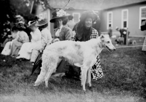 borzoi old