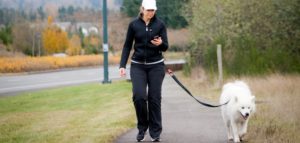 Dutch Dog Design's "Buddy" is versatile since you can use any leash you like.