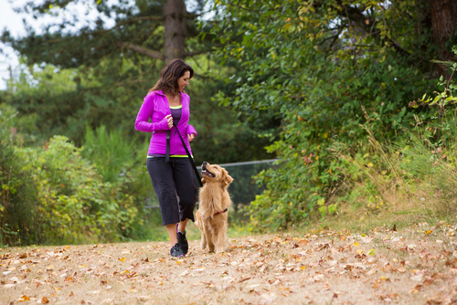 Getting Your Dog in Shape with Pooch to 5k! – iHeartDogs.com