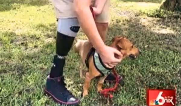 Teen Amputee Becomes Best Friends with 3 Legged Dog. This Will Melt Your Heart!