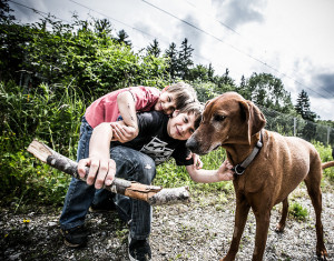 Play can be a great way to get your dog enjoying kids. However, watch for signs that your dog is not comfortable and give them a break or change the game if necessary.