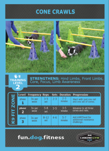 This is what one of the sample cards looks like. Image credit: FitPawsUSA.com