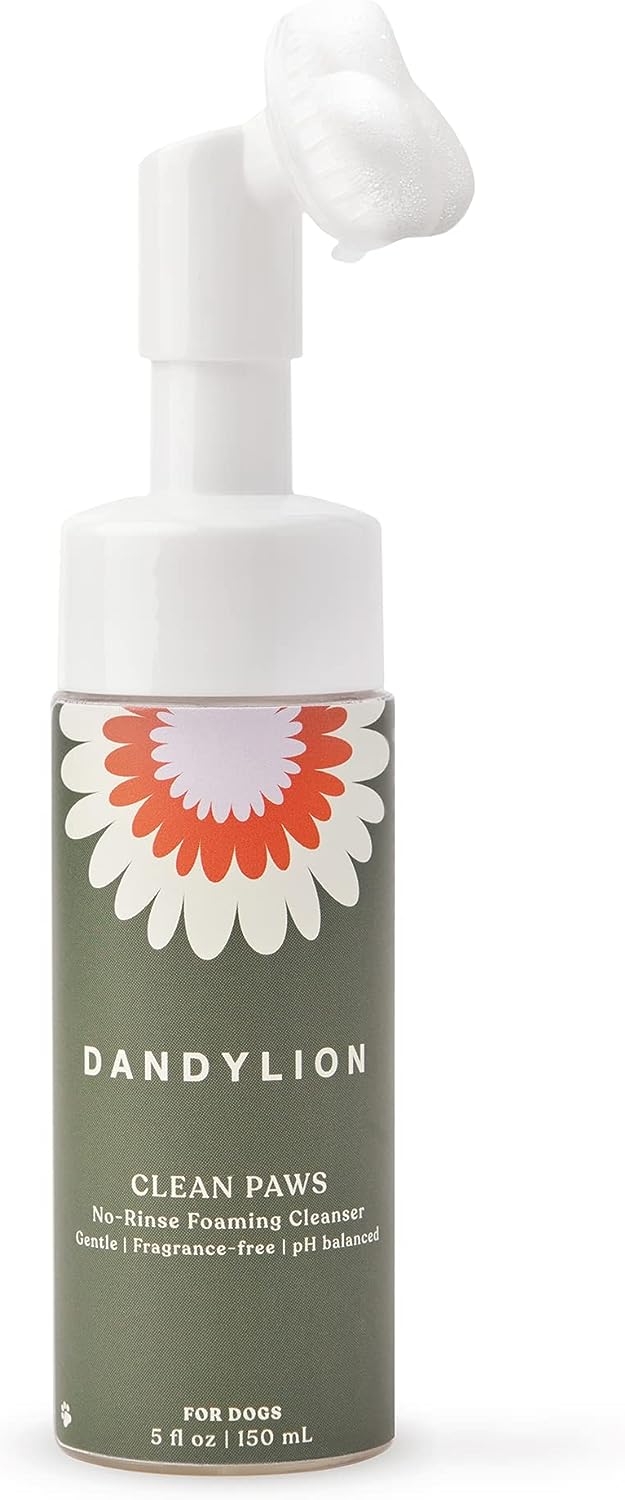 Dandylion Clean Paws | No-Rinse Foaming Cleanser