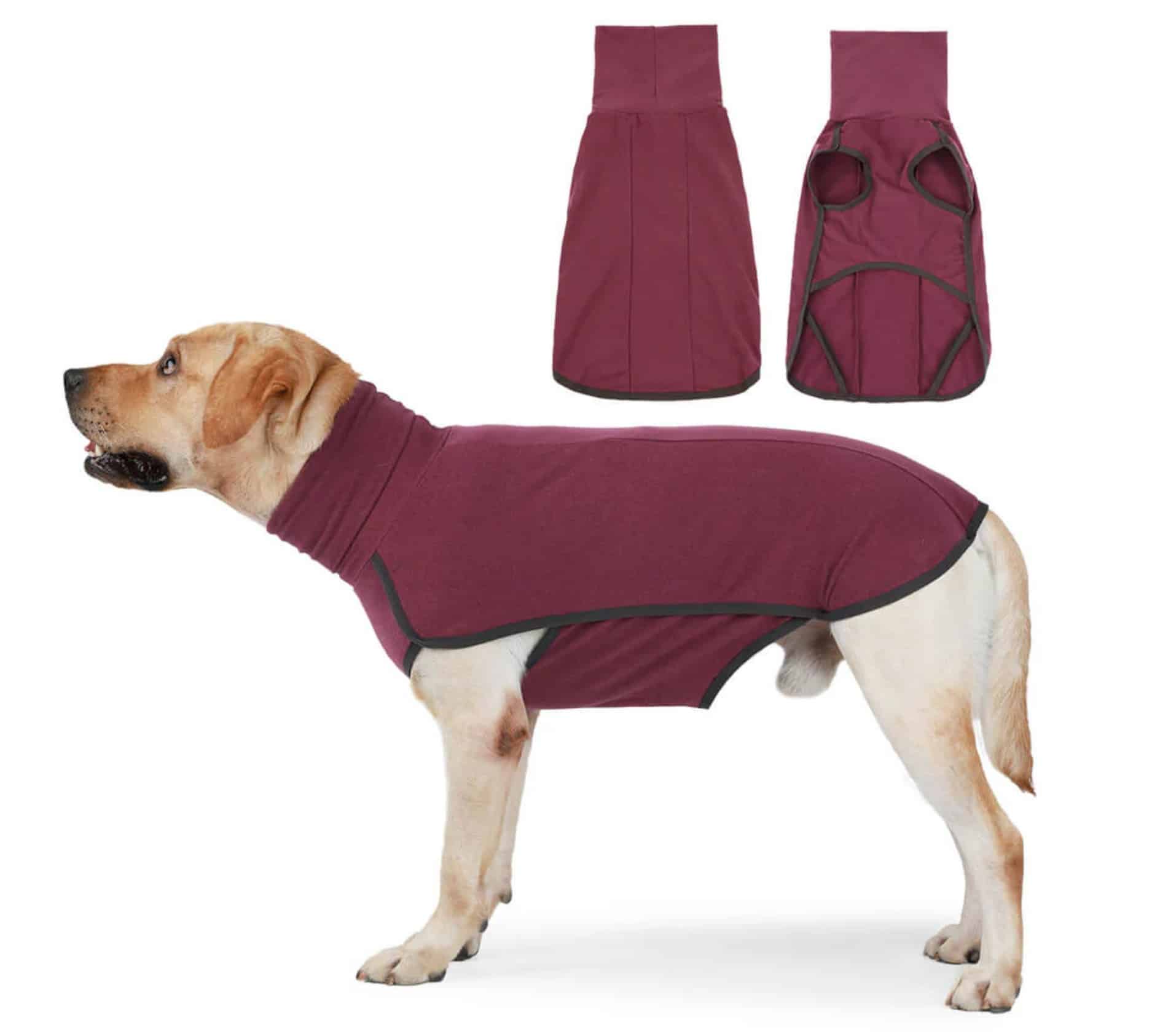 FunnyFuzzy Windproof and Water-Resistant Dog Coat