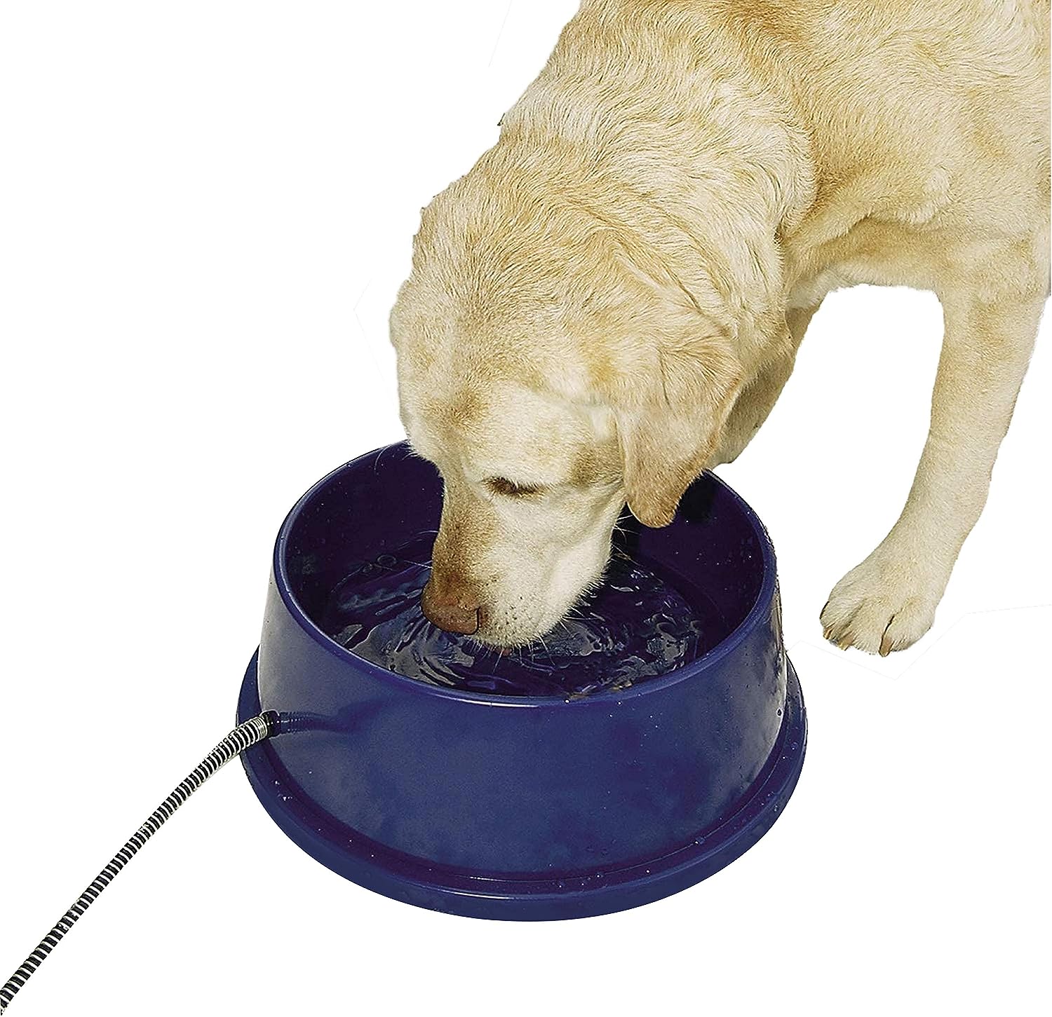 K&H Pet Products Thermal-Bowl Outdoor Heated Dog Bowl