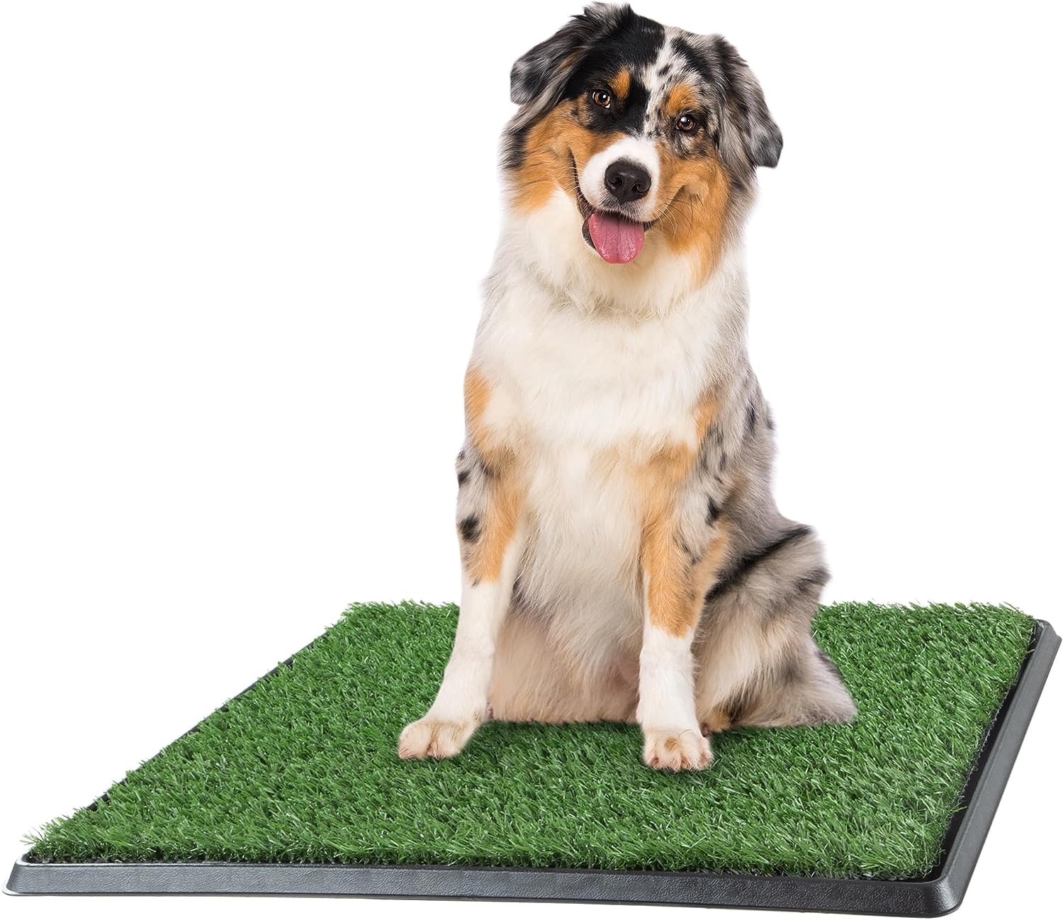 Artificial Grass Puppy Pee Pad for Dogs and Small Pets by PETMAKER