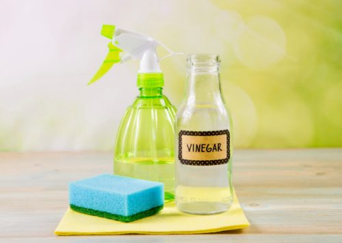 The 10 Best Cleaning Products That Are Safe (And Effective!) For Your Dog