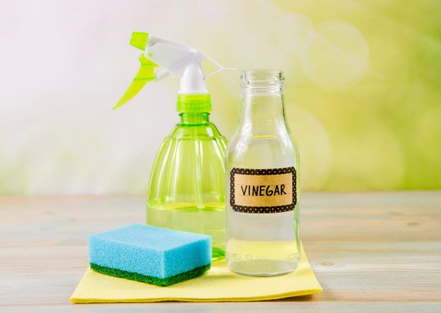 clean with vinegar