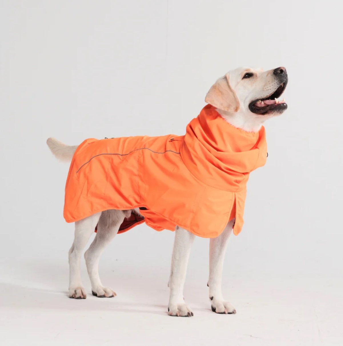 SparkPaws Breatheshield™ Dog Raincoat - Neon Orange