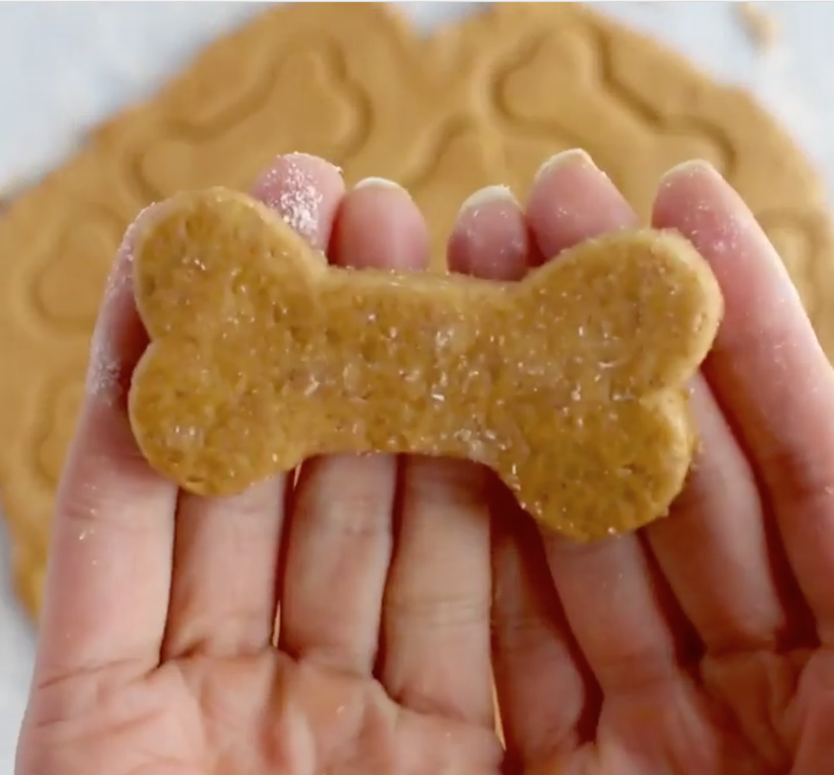 10 Christmas Cookie Recipes For Dogs