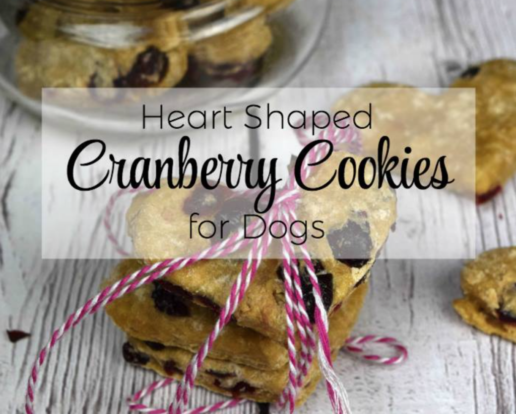 cranberry-cookie-for-dogs
