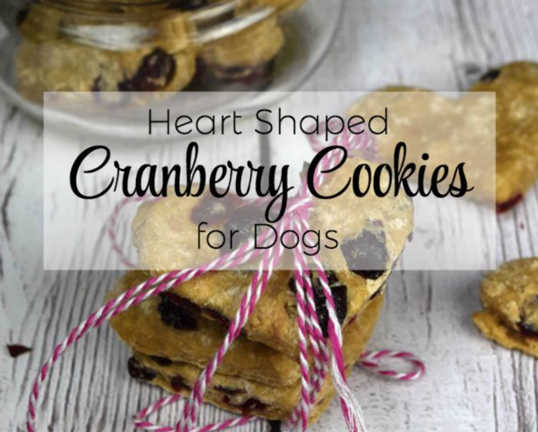 10 Christmas Cookie Recipes For Dogs