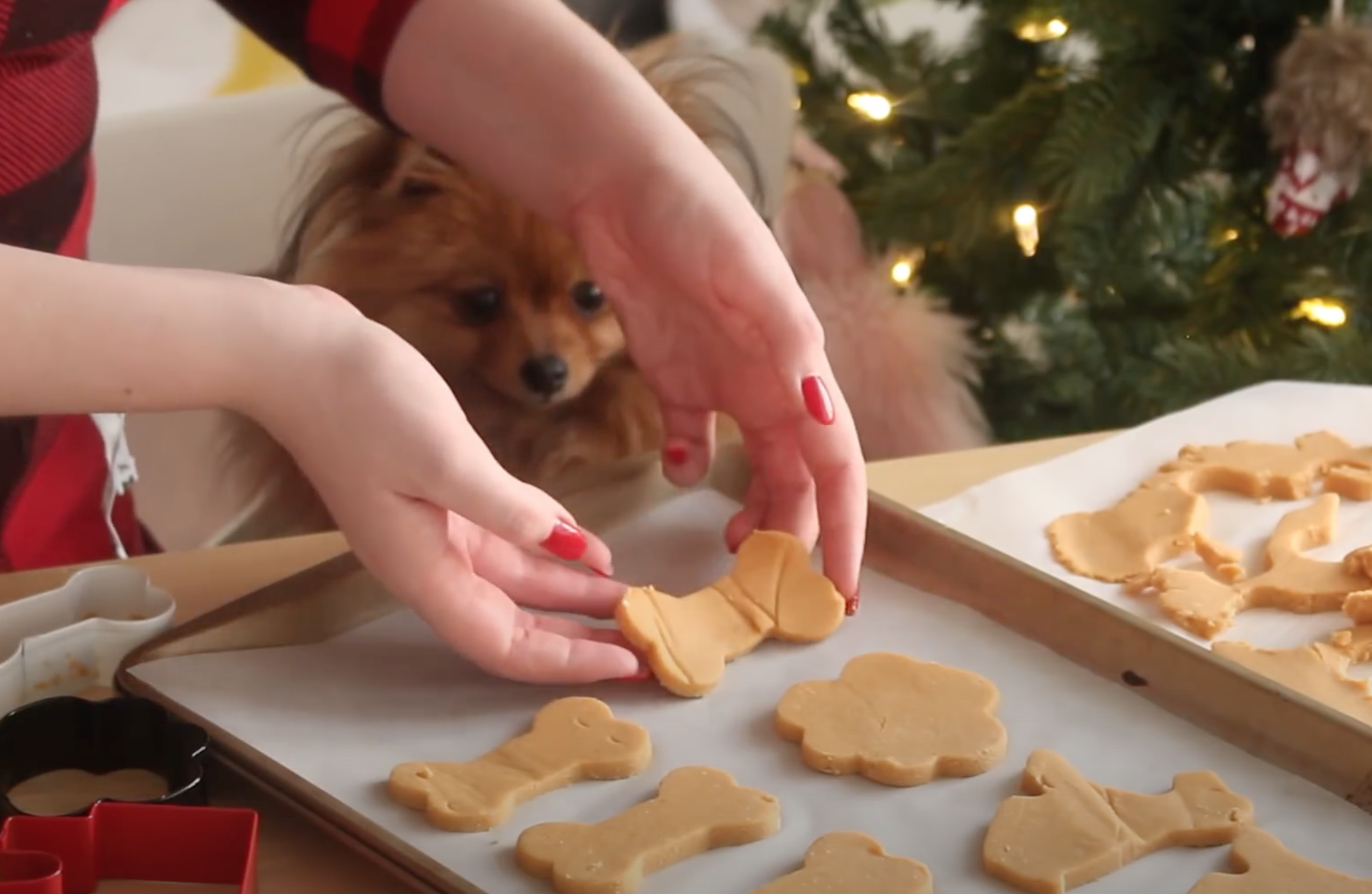 Christmas Cookie Recipes For Dogs