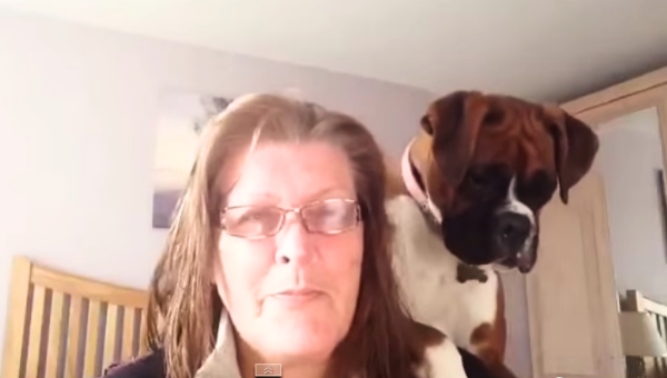 Watch What Her Boxer Does When She Tries To Blowdry Her Hair!