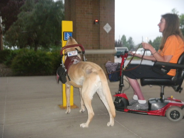 Mader with Max, her service dog. Image source: Brenda Mader