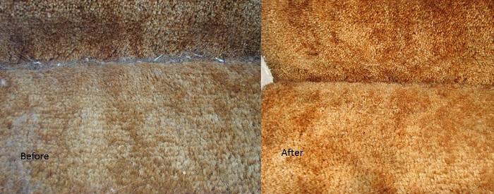 we have 25+ year-old carpet and the Dyson made the pile stand up again and improved the over-all color and look. Image source: The I Love Dogs Site