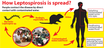 People how live in areas with unclean water supply are more at risk. Image source: Natural Unseen Hazards