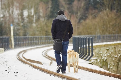 shutterstock_241905949