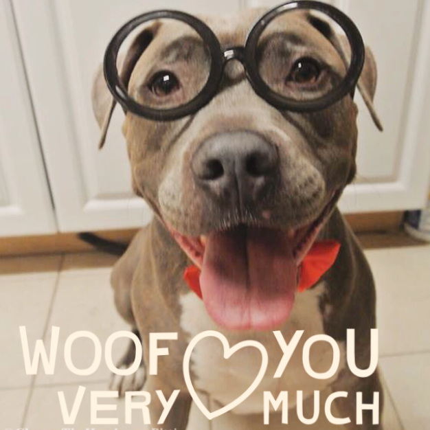 Image source: Created by ChangoThePitbull, in support of Chicagoland Bully Breed Rescue via Dogly app 