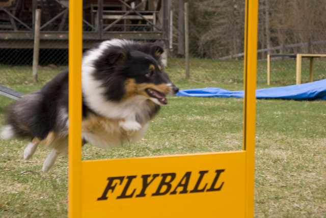 Image source: @JonasLowgren  via Flickr 