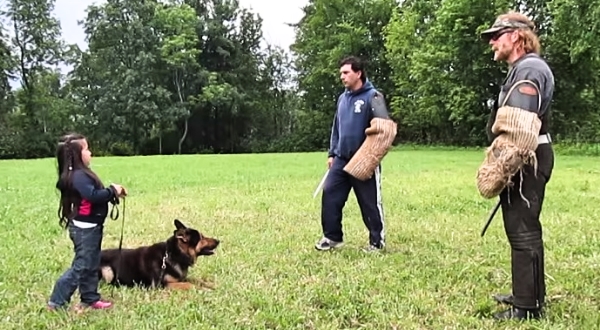 Watch How This German Shepherd Reacts When 2 “Bad Guys” Threaten This 5 Year Old Girl