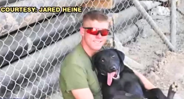Marine Reunited With Dog Who Saved His Life