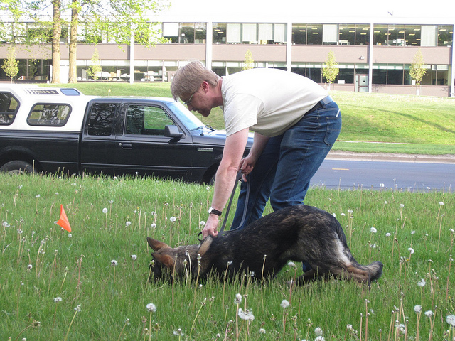 7150539541_c047fe8c2e_z