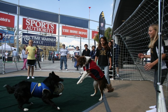 Home Depot Center Demo. Image source: Mark Lukas the owner of Soccer Collies