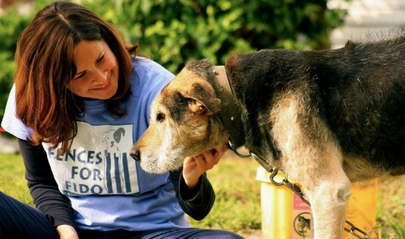 How YOU can Help Unchain Dogs