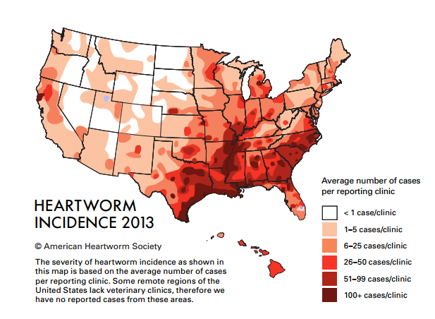 Image source: American Heartworm Society  