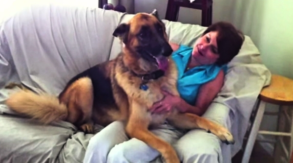 She Was Away For One Day But Her Dog Thinks That Was Too Long!