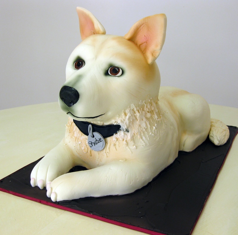 11 Amazing Dog Cakes That Are Almost Too Cute To Eat