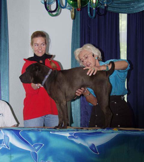 Linda Tellington-Jones performing TTouch on a dog
