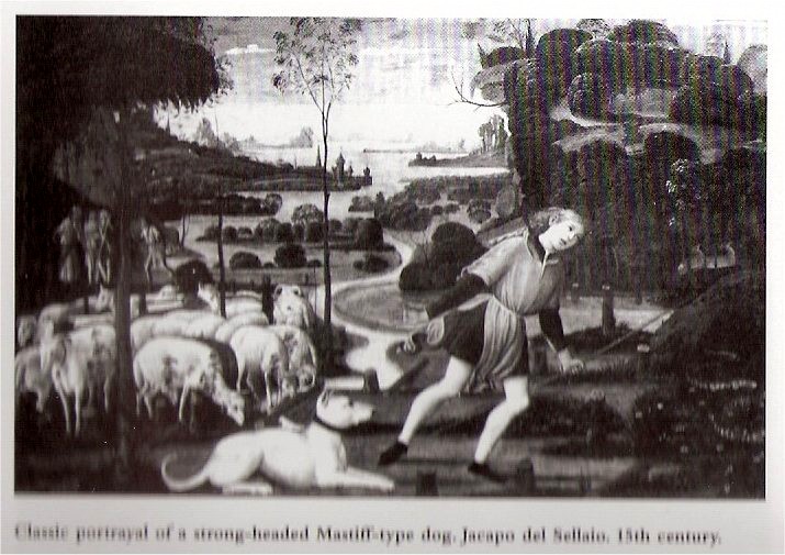Image source: "Jacopo del Sallaio" by David Hancock. Artist: Jacopo del Sallaio - Mastiffs the Big Game Hunters. Licensed under Public Domain via Wikimedia Commons 