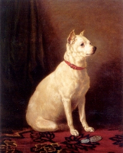 Image source: "Old English White Terrier" by Alfred Frank de Prades (19th century) - from [1]. Licensed under Public Domain via Wikimedia Commons 