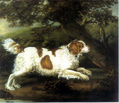 Image source: "English Water Spaniel" by Henry Bernard Chalon - Unknown. Licensed under Public Domain via Wikimedia Commons 