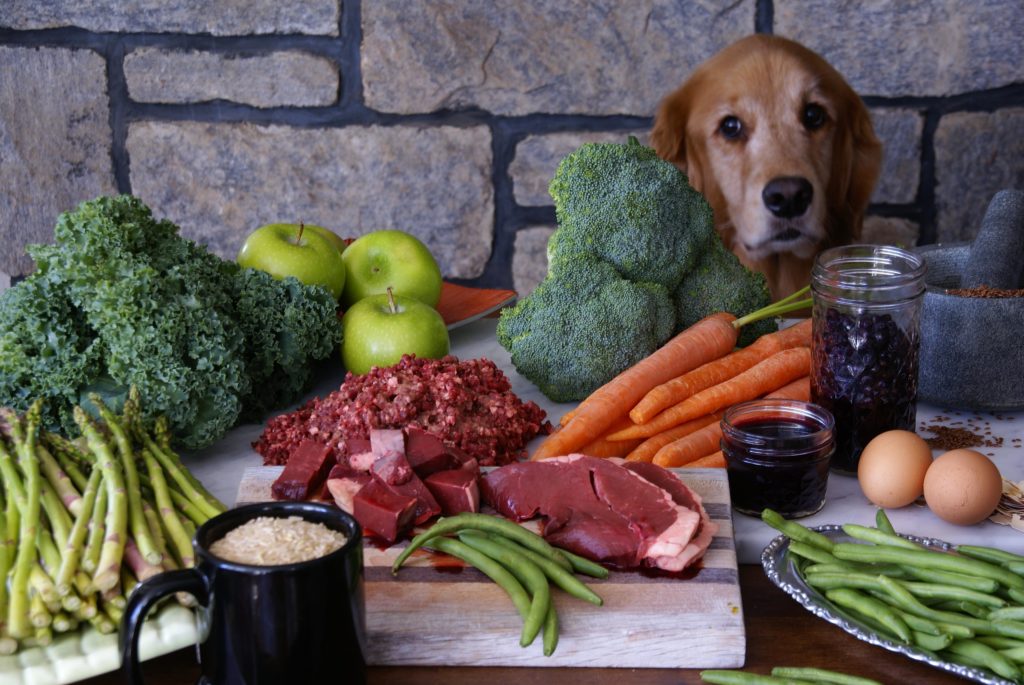 Dogfy diet clientes