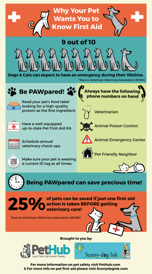 Dog CPR This StepByStep Guide Could Save Your Pup’s Life!