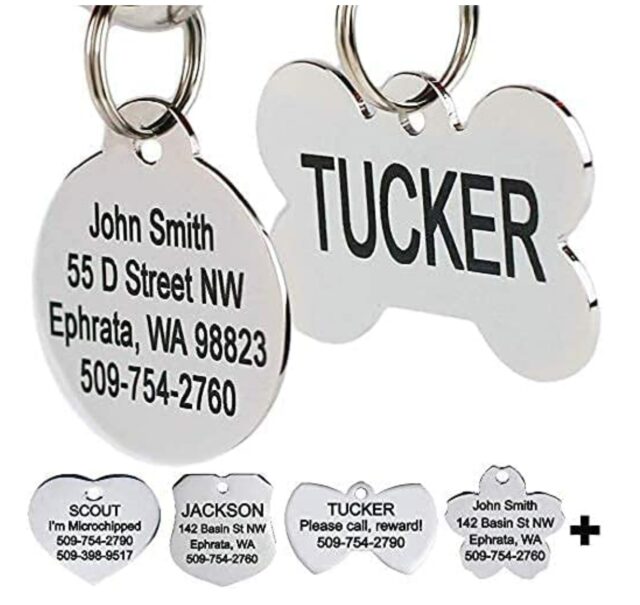 Unique Font Whimsical Large Engraved Pet ID Stainless Steel Dog Tag 