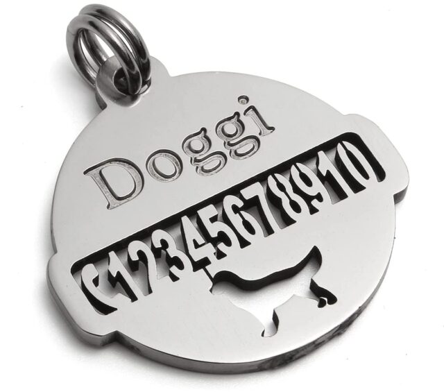 best engraved dog ID tags