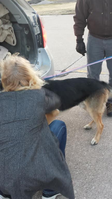 Christy petting duke for the first time. Image source: Deb Christy