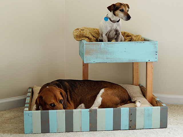 dog bed made from pallets