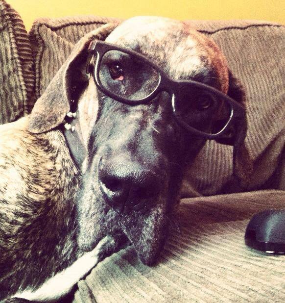 Big Ben by Shayla M.