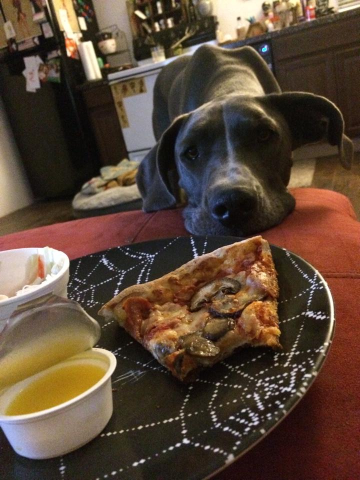 Salem by UltraViolet Veronique